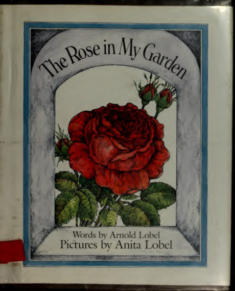 The Rose in My Garden