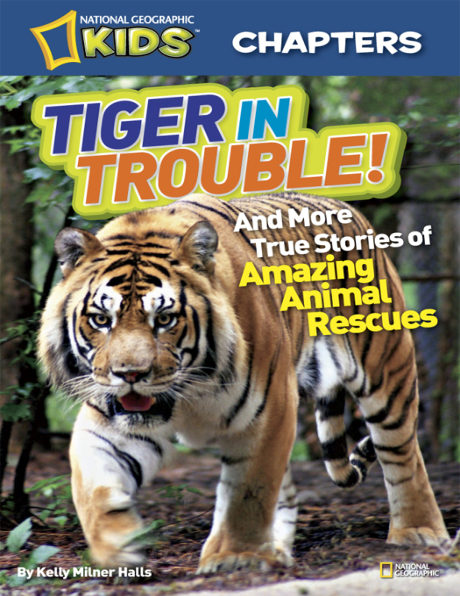 Tiger in Trouble